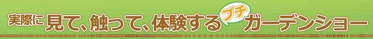 見て、触って、体験するプチガーデンショー
